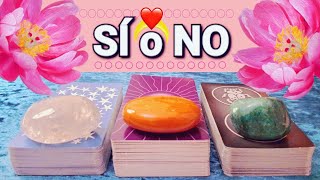 🔴 TAROT SI O NO ✅ TAROT interactivo HOY 💕 ELIGE HASTA 3 OPCIONES PARA 3 PREGUNTAS 🌞 Tarot reciente [upl. by Arimaj963]