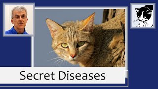 Cat Health Secret Diseases 2015 [upl. by Herriott]