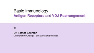 Dr Tamer Soliman  Basic Immunology  Antigen Recognition and VDJ Recombination [upl. by Mortensen698]