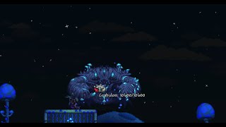 matamos al cangrejo champiñón terraria calamity mod [upl. by Rehpotsirk]