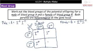 A Level Biology  6124  Multiple Alleles [upl. by Profant]