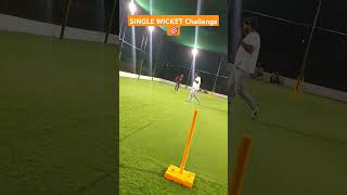 Single Wicket Hit Challenge 🎯 [upl. by Male]