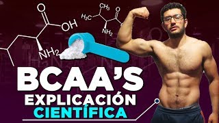 AMINOACIDOS BCAAs  ¿NECESARIOS o PERDIDA DE DINERO Explicación Científica [upl. by Anastas]