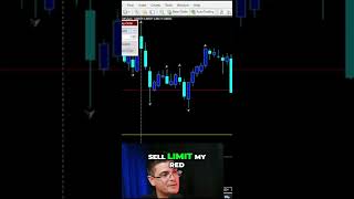 How to place your forex trade in seconds on metatrader 4 Made Easy [upl. by Ocsisnarf]