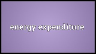 Energy expenditure Meaning [upl. by Irdua401]