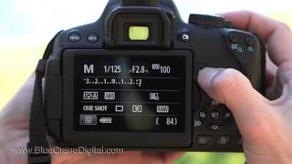 Introduction to the Canon Rebel T4i 650D Advanced Topics [upl. by Eleda976]