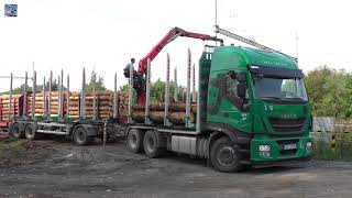 Iveco Stralis load timber to wagons [upl. by Nossah]