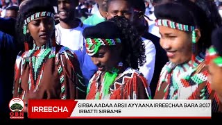 Sirba Aadaa Arsii Ayyana Irreechaa bara 2017 irratti sirbame [upl. by Amapuna872]