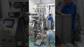 Sachet packing machine [upl. by Ainehs]