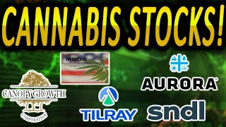 Time To Buy Weed Stocks Cannabis Stock Short Squeeze Cgc Tlry Sndl Acb Msos [upl. by Rew]