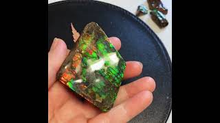 Canadian Gemstone Ammolite Fossil ammolite doublesided gemstone ammonite naturalgems gem gem [upl. by Abbe766]