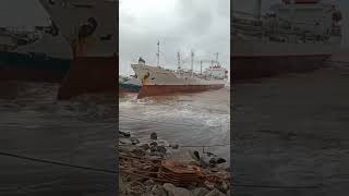 Last Voyage Of Nova Florida Vessel  Full Beaching  Alang Ship Breaking Yard India 🇮🇳 [upl. by Ferris]