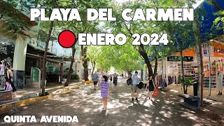 QUINTA AVENIDA RECORRIDO🔴ACTUALMENTE 8 ENERO 2024 Y LLEGA SARGAZO [upl. by Celtic250]