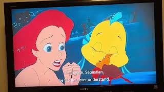 The Little Mermaid 1989 Sebastian takes Ariel homeAriel Discovers The Human Ship HD [upl. by Asirralc]