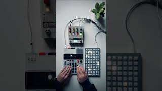 Norns into Chroma Console  KO2 minimalsynth electronicmusic [upl. by Connie]