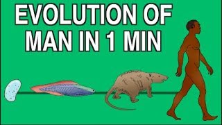 EVOLUTION OF MAN IN 1 MINUTE [upl. by Ardekan]