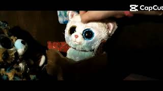 beanie Boo secrets trailer [upl. by Nalepka]