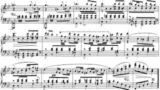 R Schumann Papillons Op2 Nº 45 y 6 [upl. by Einnalem]