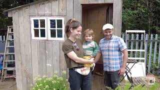 Building an Allotment Shed from Recycled Materials [upl. by Rehpatsirhc308]