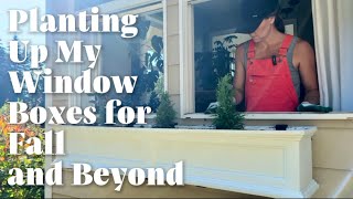 Planting Up My Window Boxes for Fall and Beyond [upl. by Nodaj]