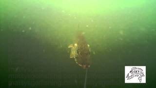 Underwater spinner video for walleye and pike [upl. by Buffy]