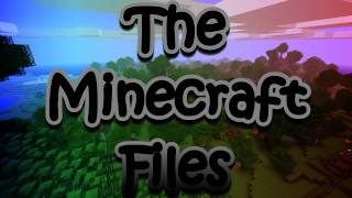 The Minecraft Files  16 Simple Wheat Farm [upl. by Suzi]