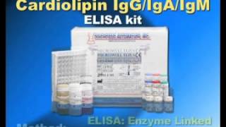 Cardiolipin IgG IgA IgM ELISA kit [upl. by Bandur]