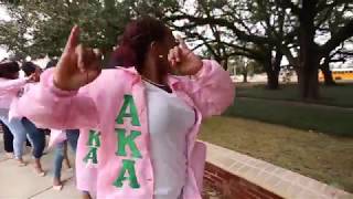 Lambda Omicron Chapter of Alpha Kappa Alpha Sorority Inc  Founders Day 2018 [upl. by Aisereht]