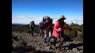 Kilimanjaro Mountain via Marangu RouteCoca Cola Route [upl. by Arbmik]