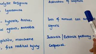 PATHOLOGY Necrosis and Apoptosis Difference [upl. by Teddi]