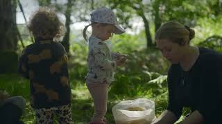 Meet the community restoring their temperate rainforest for biodiversity and recreation [upl. by Kopaz]