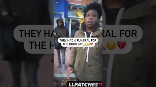 The Hood Cat Funeral is a Movie 😔🕊️ cat hood funeral viralvideo [upl. by Julius]