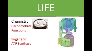 chem015b Carbs and ATP synthase [upl. by Naujled255]