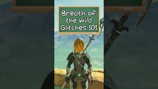 Intro 101  Breath of the Wild Glitches [upl. by Segalman]