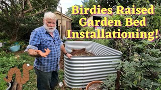 Birdies Raised Garden Bed Assembly and Positioning [upl. by Larual583]