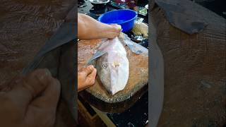 best indin leather jacket fish cutting shots video [upl. by Pelag931]