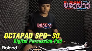 roland octapad spd30 demo Thai ทิวลี่ ยองบ่าง ชัยภูมิ พาชมเครื่องดนตรีวงยองบ่าง Ep1 [upl. by Xam]