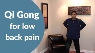 Qi Gong Routine for Back Pain  Easy w Jeff Chand [upl. by Stucker177]