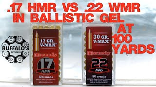 VMAX BALLISTIC GEL TEST  22 WMR vs 17 HMR [upl. by Skye950]