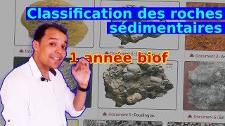 1 année collège SVT Classification des roches sédimentaires [upl. by Hymen]