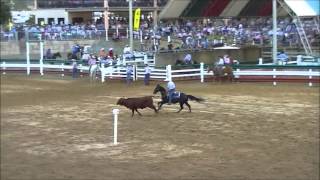 Paradise Lagoons 2013  Nigel Kable amp Chevin Ivory  Stallion Draft 1st Rd [upl. by Yttiy]