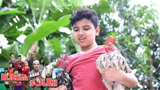 Keren Soleman Menyelamatkan Ayam yang Mau Diadu  Rejekinya Anak Soleh Eps 5 [upl. by Julee]