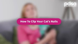 How To Trim Your Cats Claws  Pet Health Advice [upl. by Enitsuga]