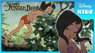 Mowgli Finds the Man Village 🏡  Jungle Book  Disney Kids [upl. by Jerald]