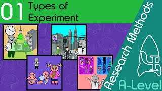 Types of Experiment  Research Methods  A Level Psychology [upl. by Pytlik]