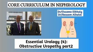 Essential Urology 4 Obstructive Uropathy part 2 DrOssama Elkholy [upl. by Ihsakat]