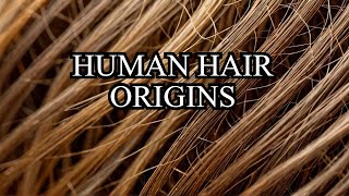 Human Hair Began in This Way The Unexpected Origin Story [upl. by Noyart]