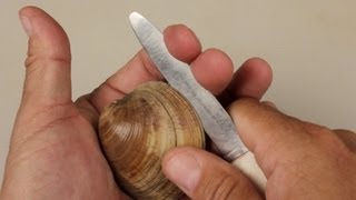 How to Open Clams [upl. by Dredi]