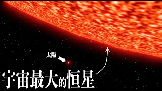 爲什麽沒有直徑壹光年的恒星？2024年目前已知的宇宙中最大恒星！WOH G64！ [upl. by Aihsatan]