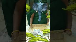 🐘🤪🤗Mama mara bhupam bhapam gadi laya🐘🐘🤪🤪  comedy viral video🤗🤗  short video🙏🙏 [upl. by Madelene]